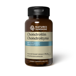 Chondroityna (60 kaps.)